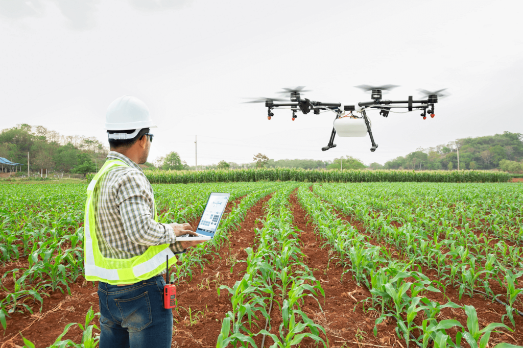 business intellingence no agronegócio