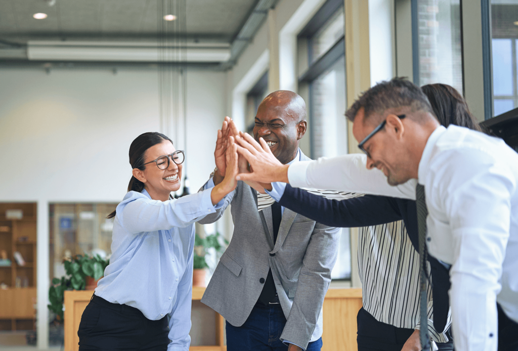 treinamento e capacitação da equipe